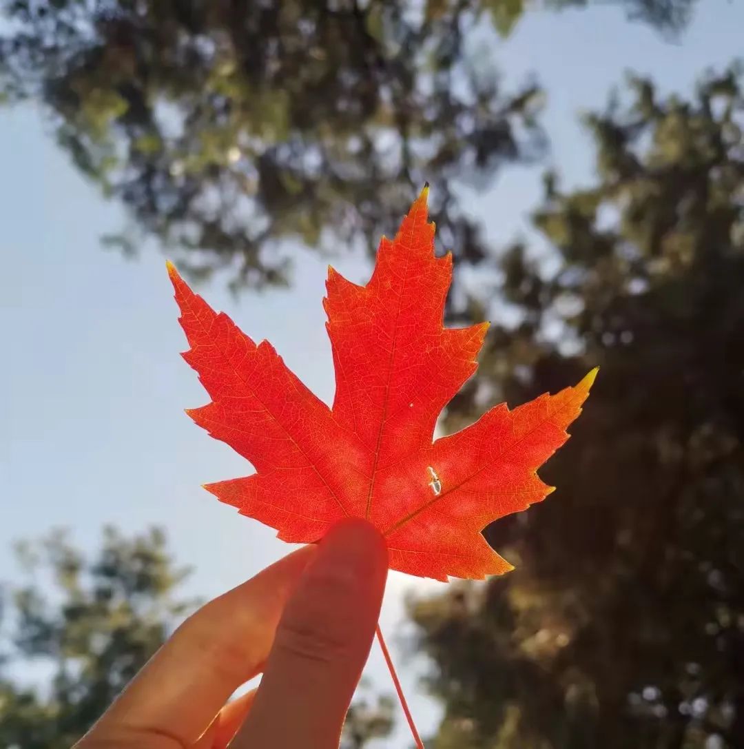 无聊必做的100件事,无聊时值得做的100件小事