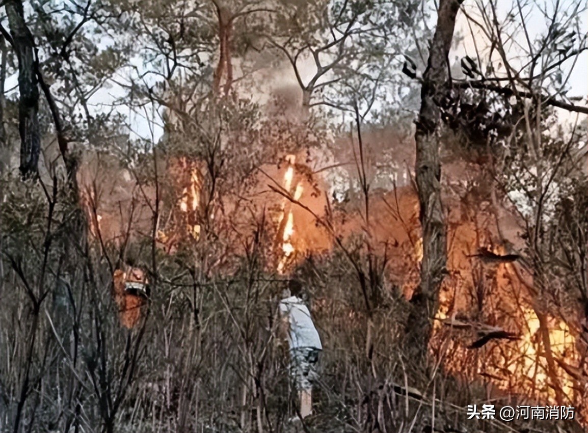 八旬老农随手一“弹”引发大火！检察院：建议有期徒刑3年