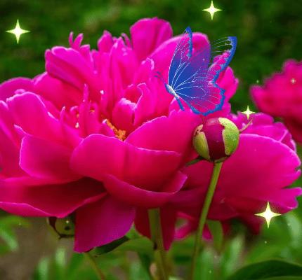 周末早安简单一句话和图片,周一早安最美的句子图片