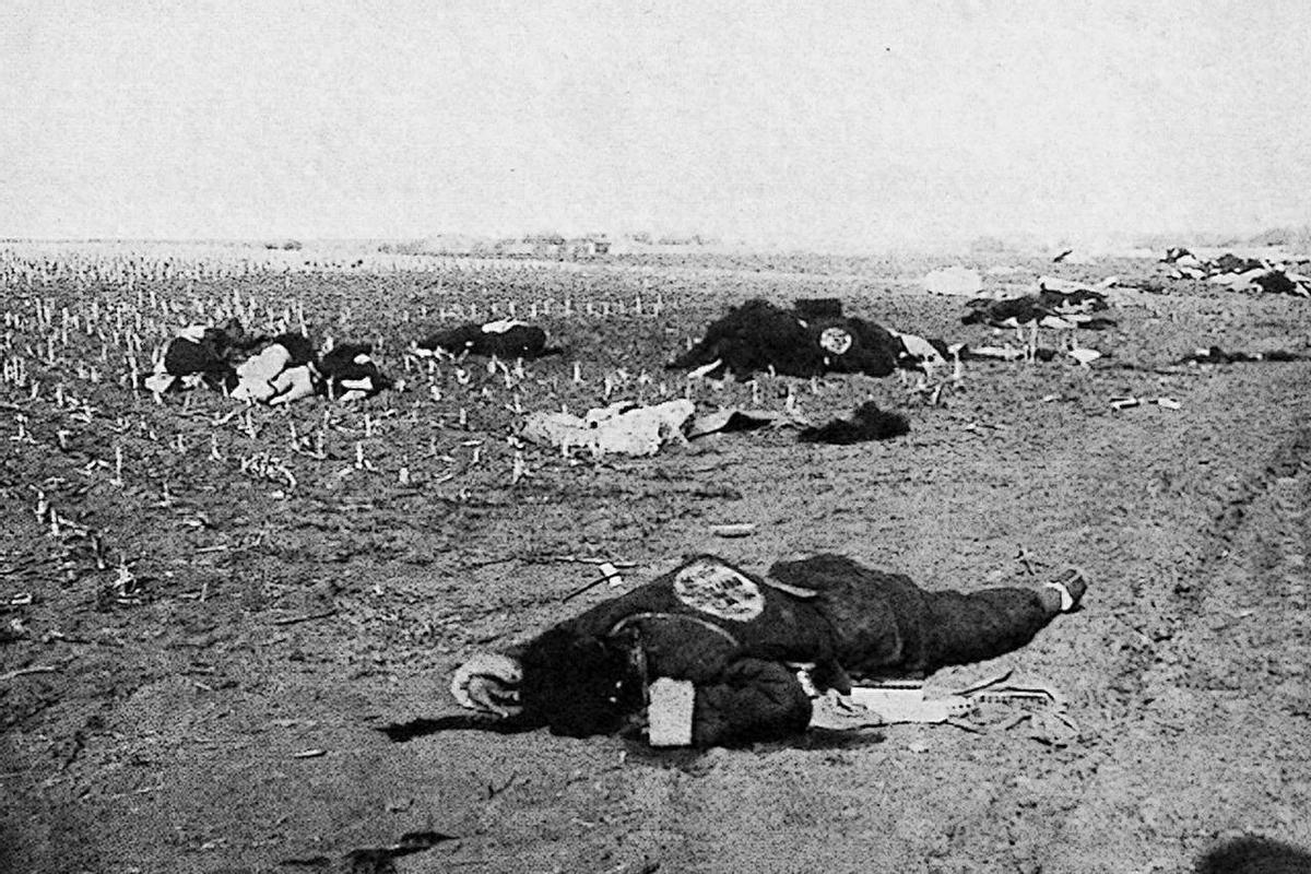 鏃ュ啗渚靛崕鍏借,鏃ユ湰渚靛崕鍏借鐓х墖