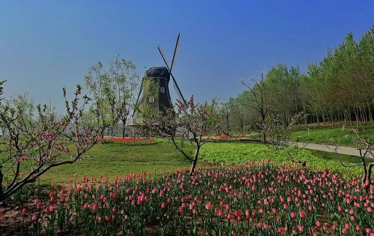 德州减河湿地公园一日游攻略,德州减河湿地公园游览记