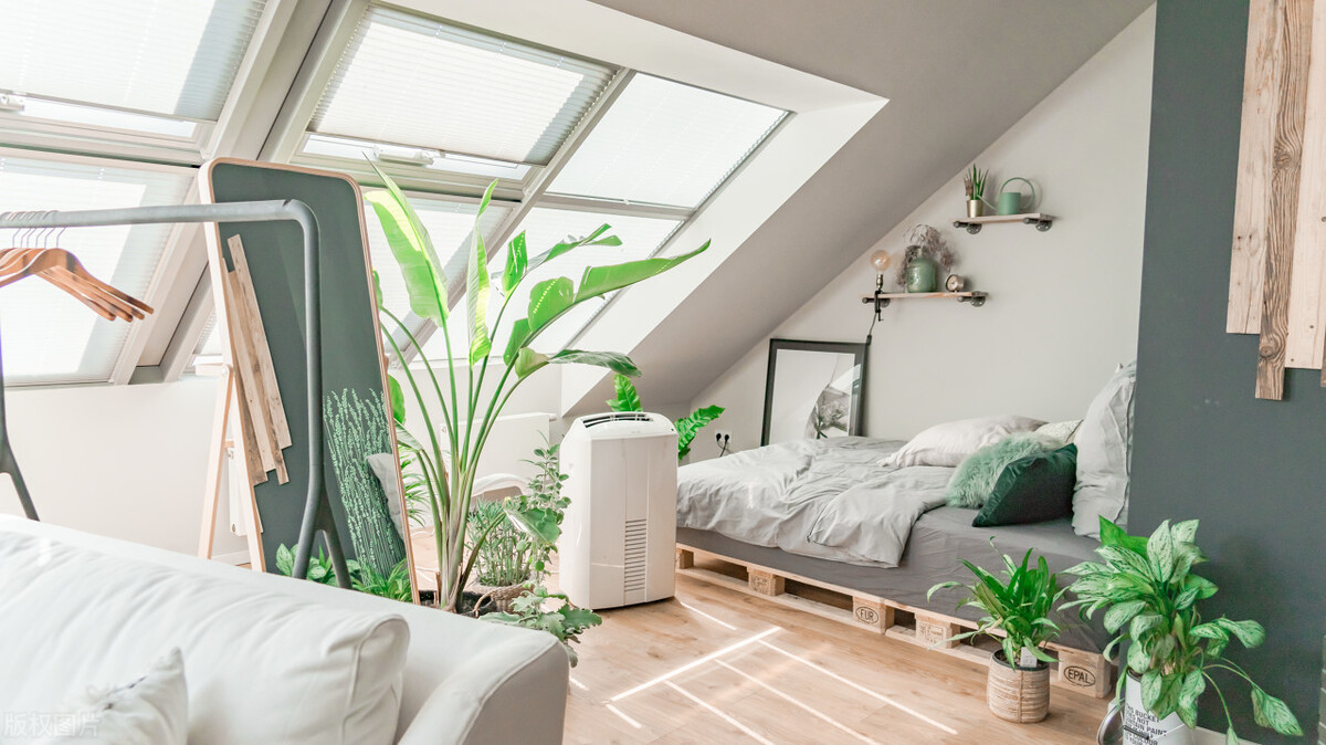 如何利用农村自建房屋开办民宿,农房改造民宿大全