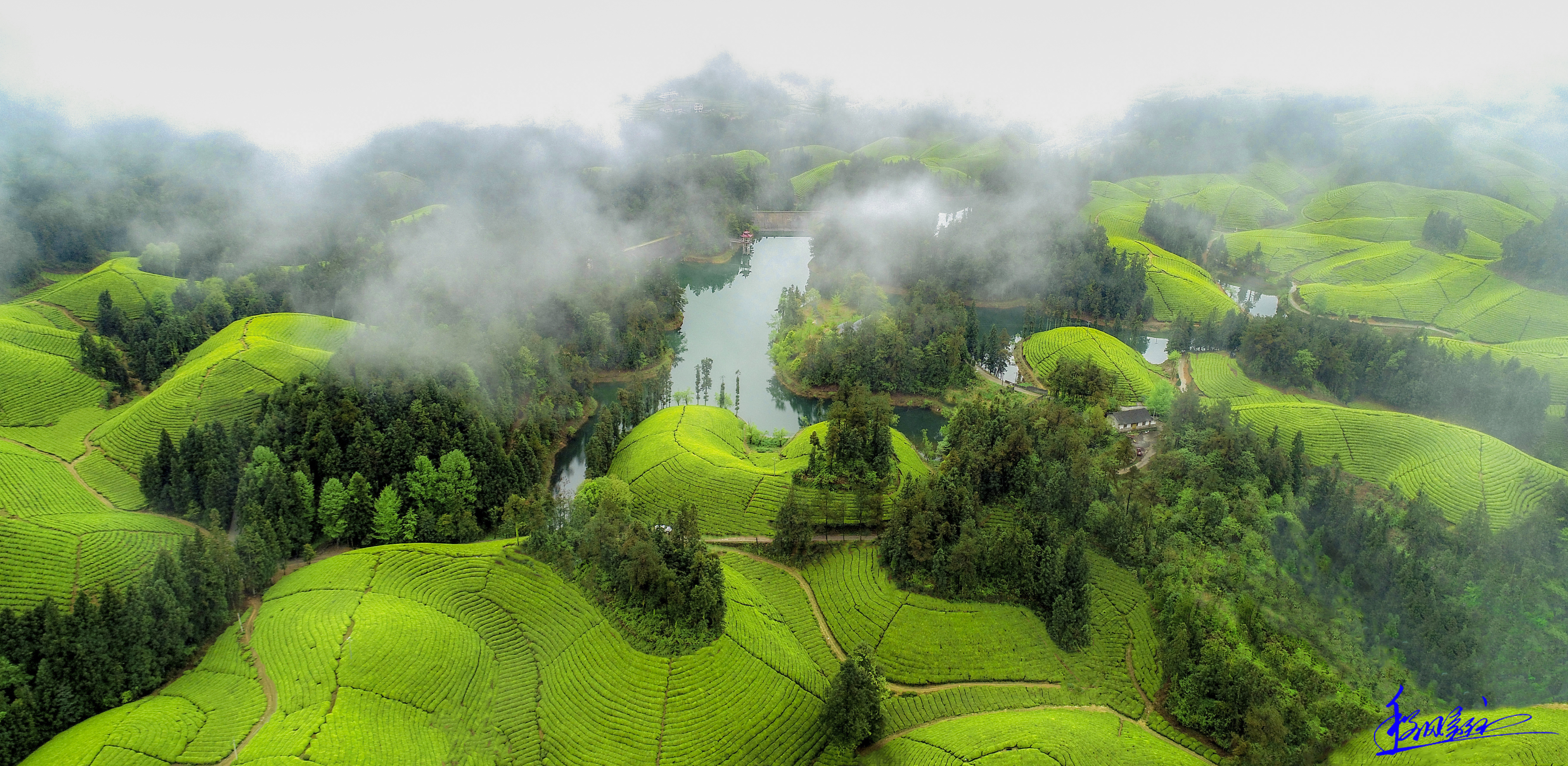 打造引领高质量发展的支柱产业,打造高质量发展的现代化产业体系