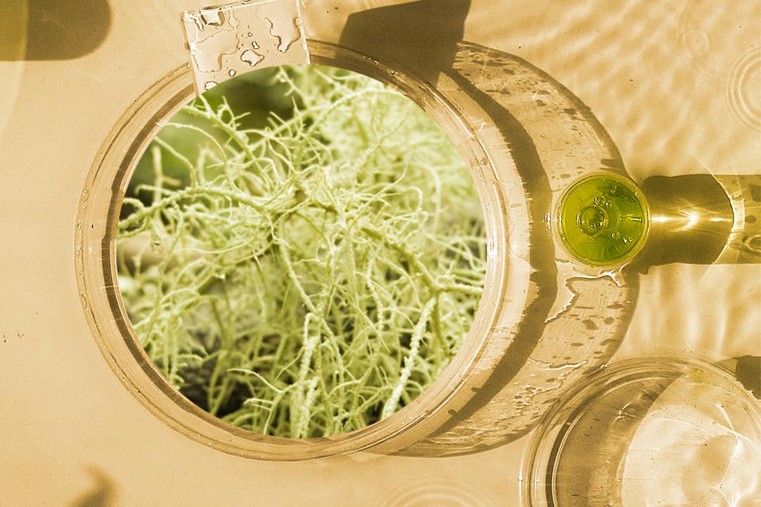 抗衰老化妆品排行榜最新,抗衰老化妆品排行