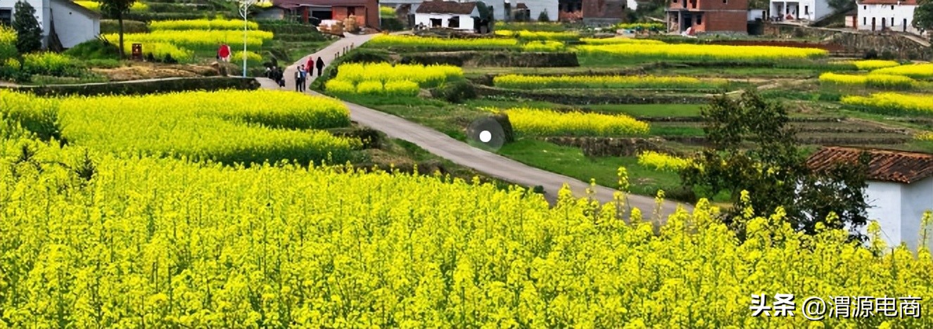 渭源电商下乡政策,渭源电商平台简介