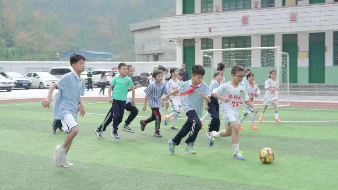 学习宣传贯彻*党**的二十大精神｜助力乡村振兴南宁公安在行动