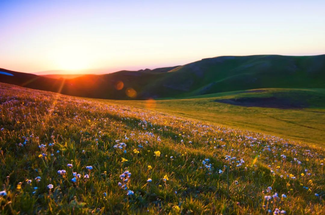 这个姿势躺3分钟瘦肚子,什么动作使全身气血运行快速