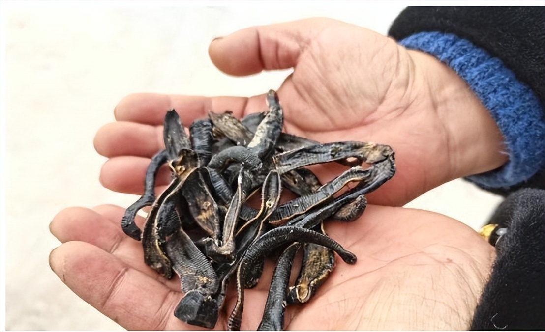 改善糖尿病微血管病变，减少尿蛋白保护肾功能，推荐3个中成药