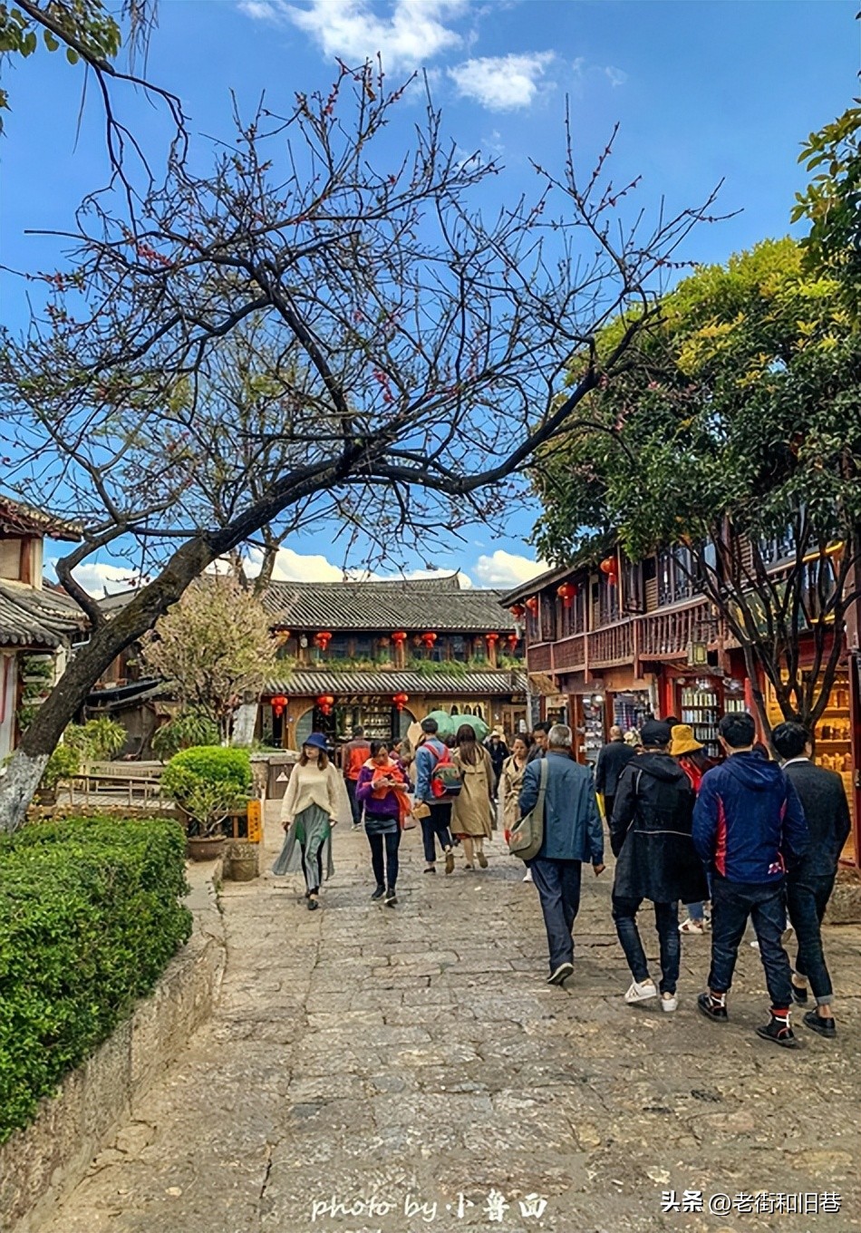 玩转云南自由行,昆明大理丽江6天5晚游多少钱