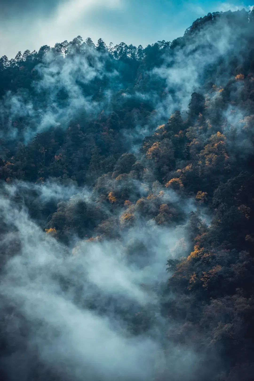 火出圈啦,甘孜文旅局长化身侠客火出圈