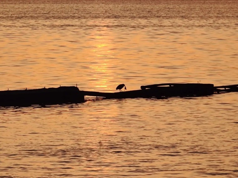 摄影图片二次构图,一张照片二次构图就会眼前一亮