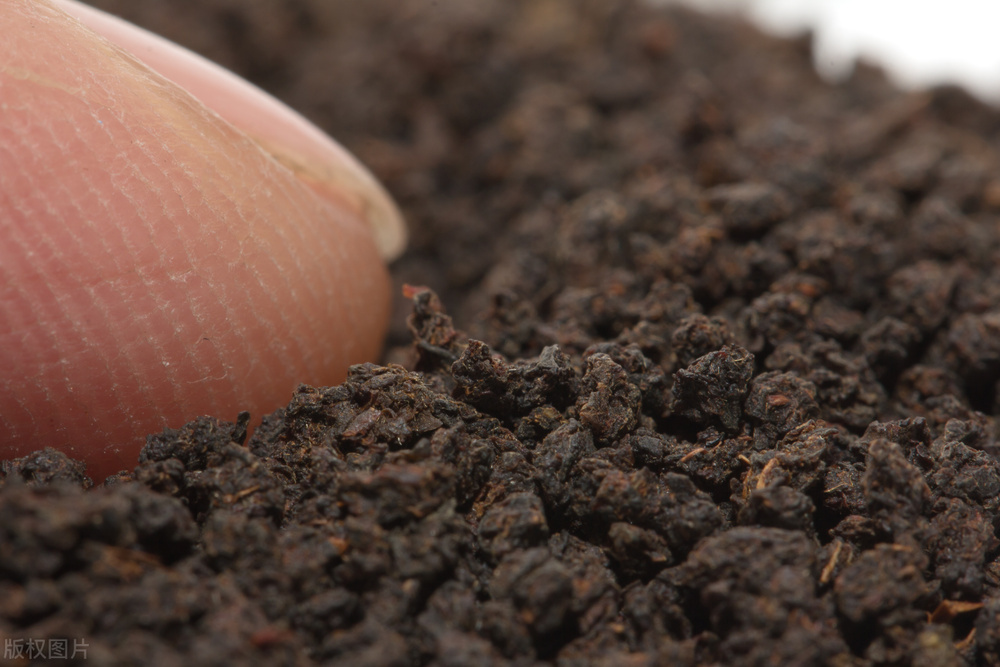 绿茶是指茶叶颜色是绿色的吗,为什么绿茶和绿茶的颜色不一样