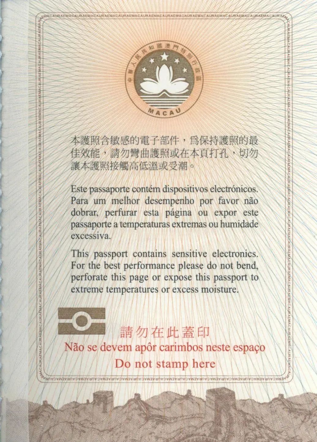 中国护照一般分为哪几种,中国护照有几种类型