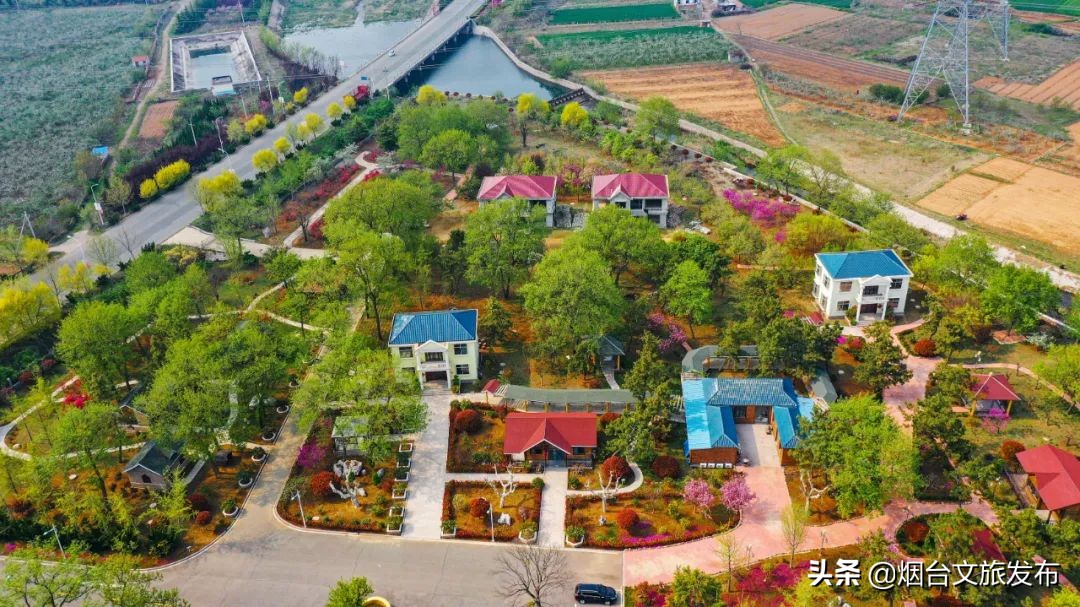 海阳避暑排名第一,山东海阳适合避暑的山村