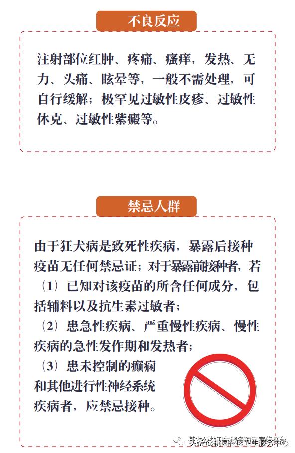 疫苗科普类宣传视频,接种狂犬疫苗科普视频