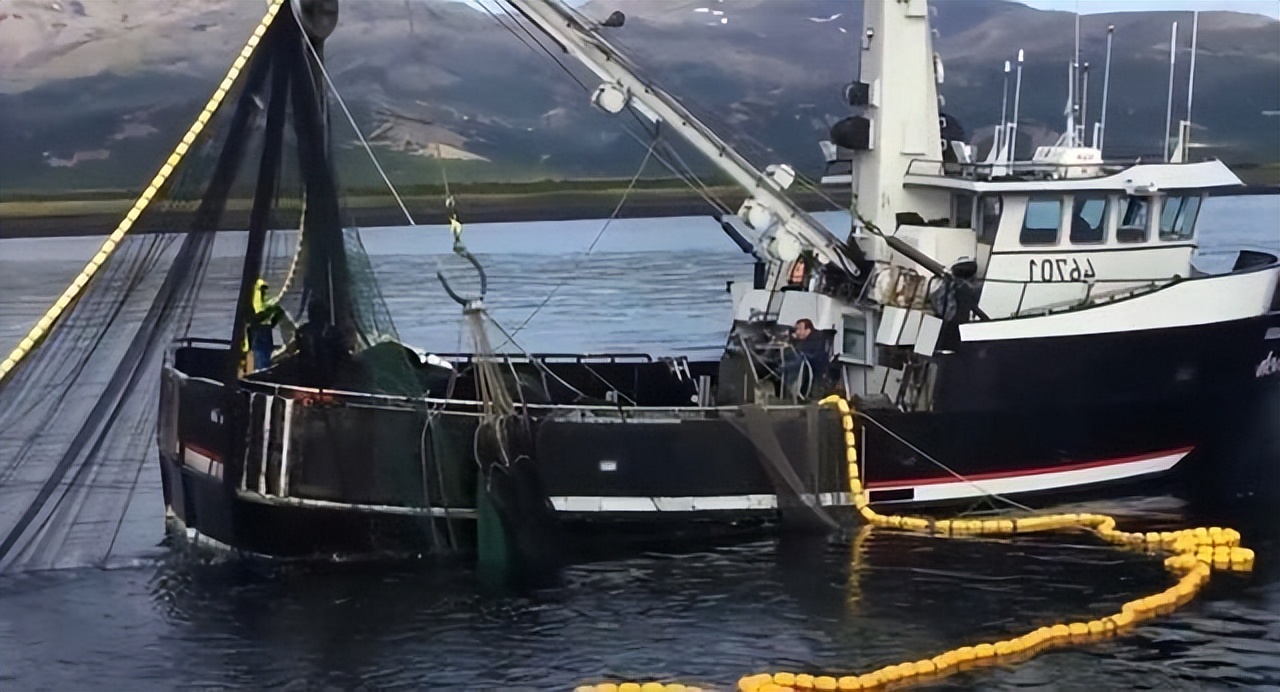 世界第一渔港,世界第一渔港为什么没有捕鱼