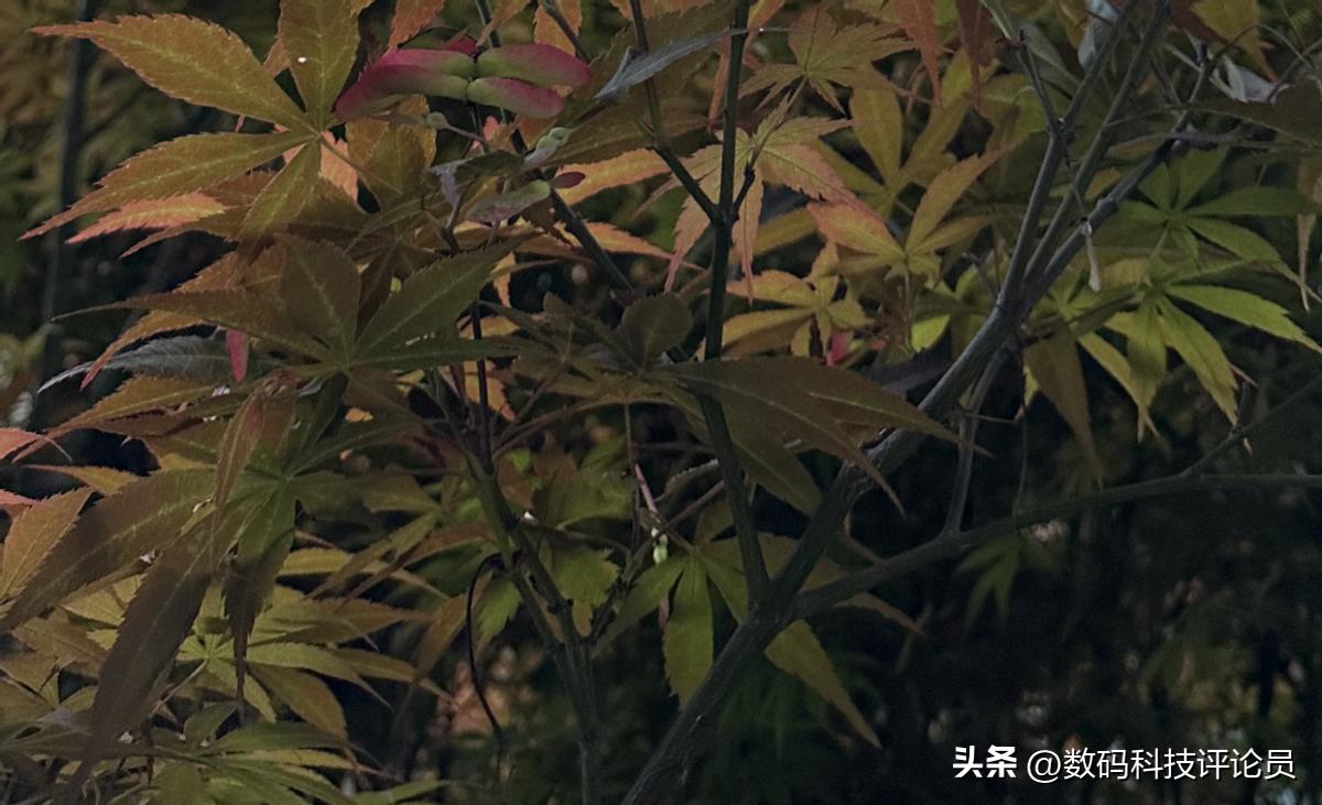 超微距镜头小米13ultra,超越小米13ultra影像