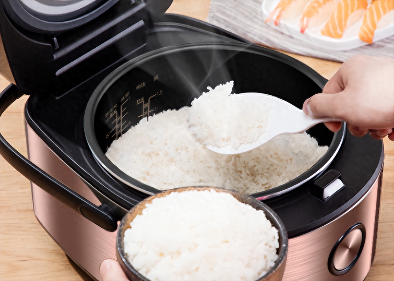 电饭煲贵的和便宜的有什么区别,100的电饭煲和500的电饭煲区别