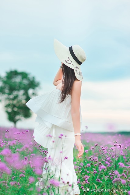 陌上花开可缓缓归矣能表达爱情吗,陌上花开可缓缓归矣表达什么