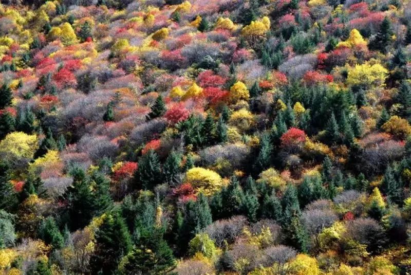 最美西藏十大景点,藏北旅游景点推荐