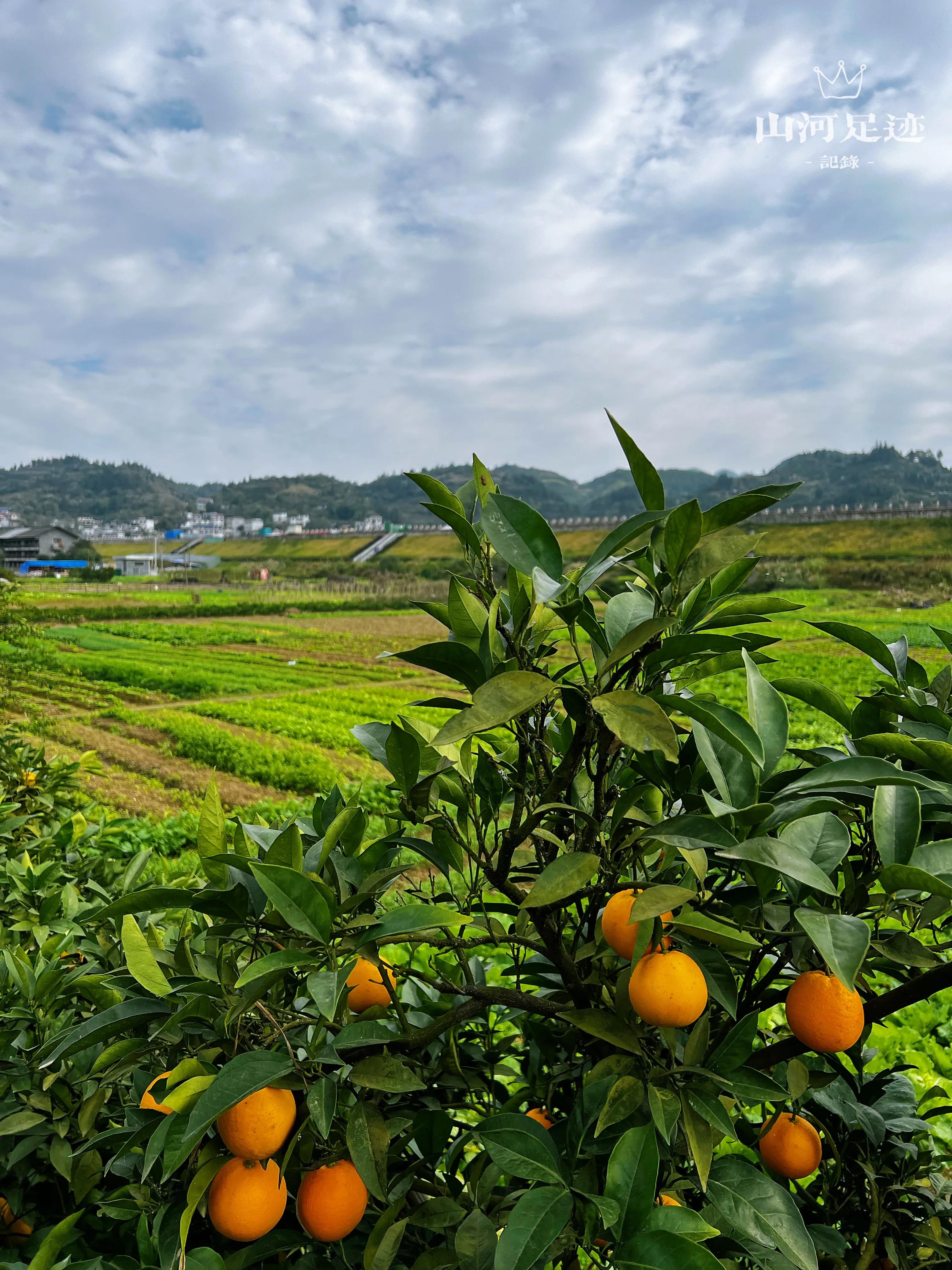 湘西这个古镇怎么样,湘西四大古镇