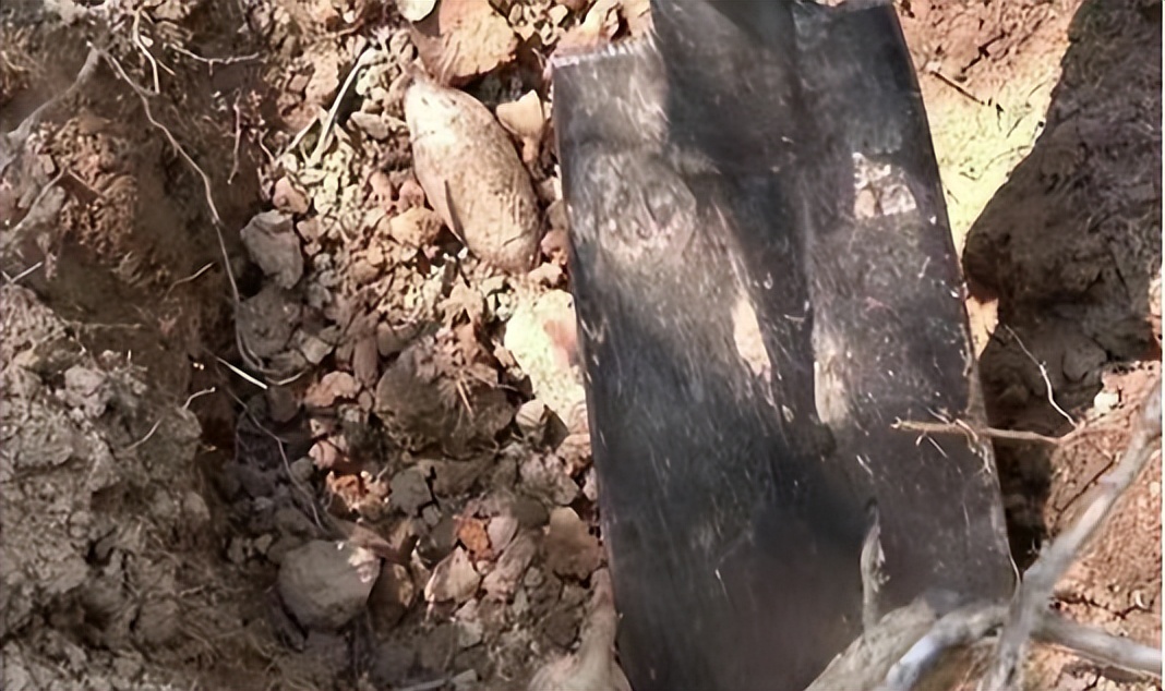 工人意外挖出千年古墓,挖出4.5吨白酒