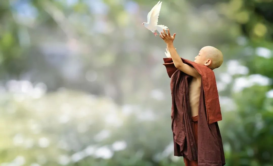 弘一法师说亲人去世,弘一法师亲人的离世