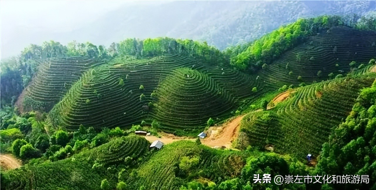 广西桂平研学实践教育基地名单,广西研学教育训练基地