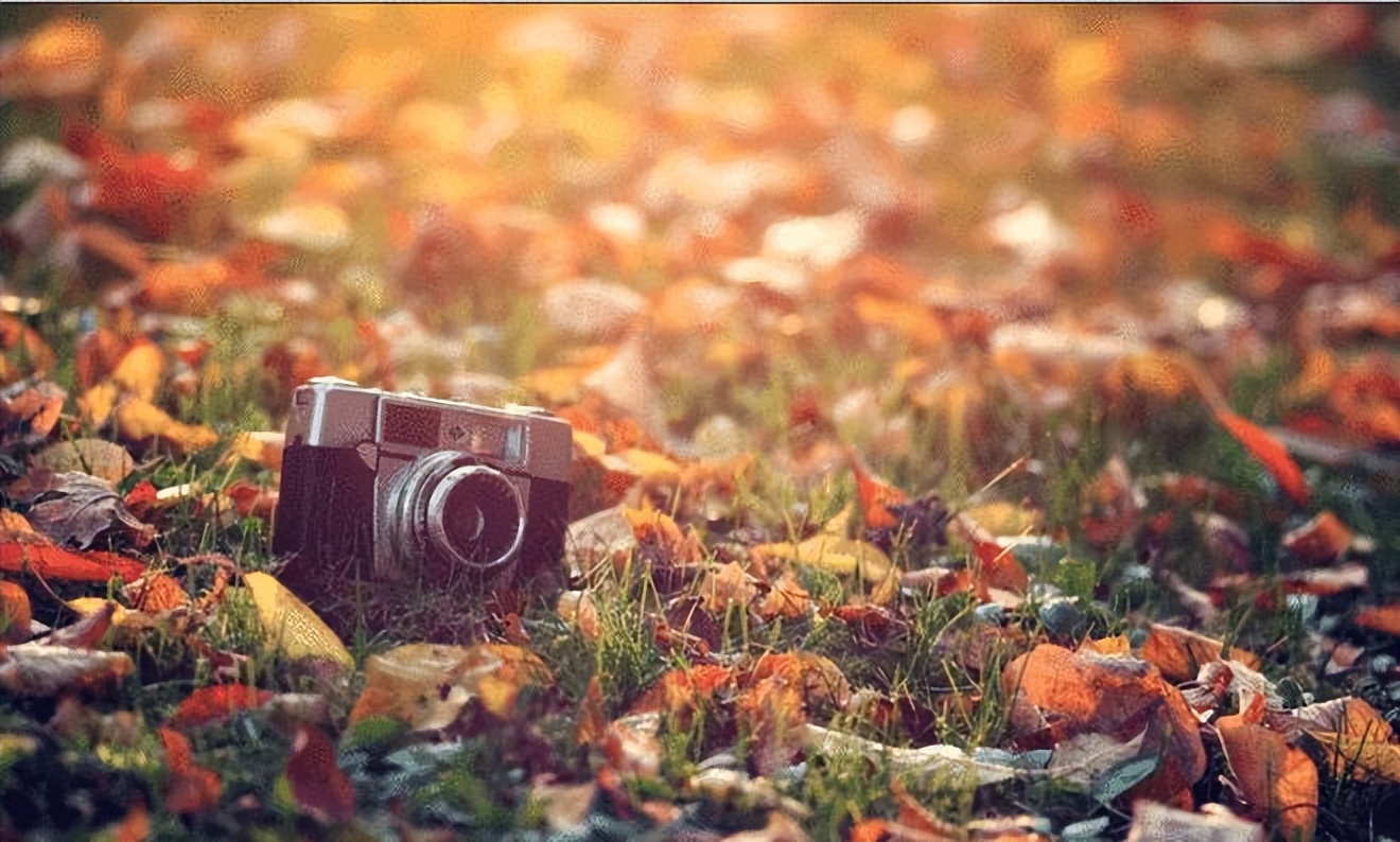 亲戚之间随礼需要一视同仁吗,亲戚关系不好还有必要随礼吗