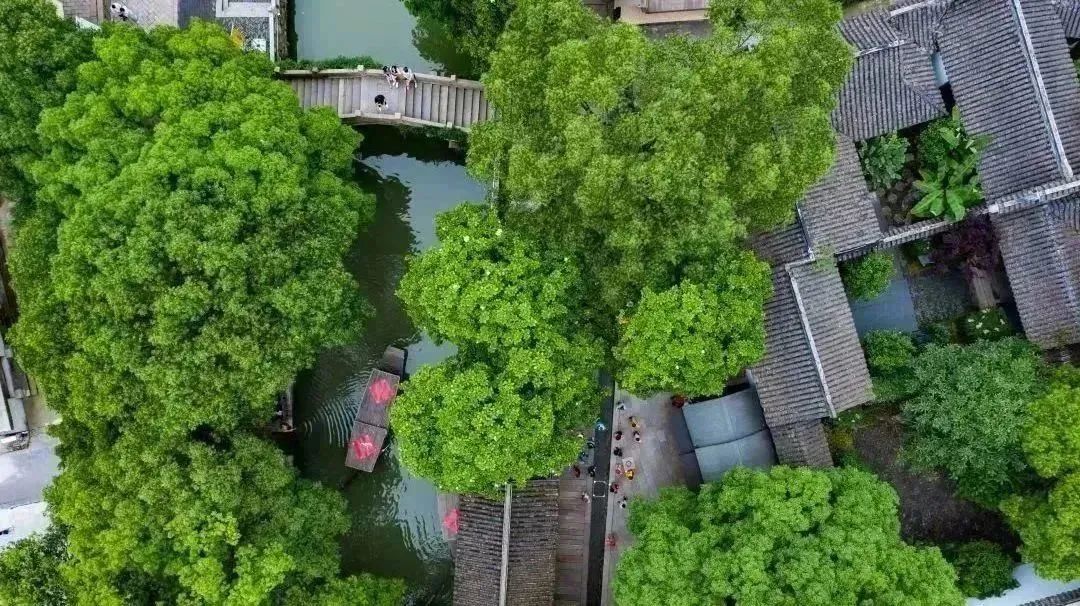 苏州水上行旅游攻略,苏州乘船旅游