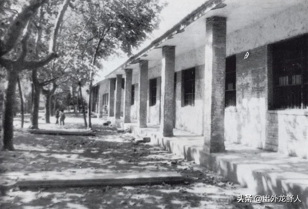 合肥长丰什么时候可以成为千亿县,安徽合肥长丰发展变化