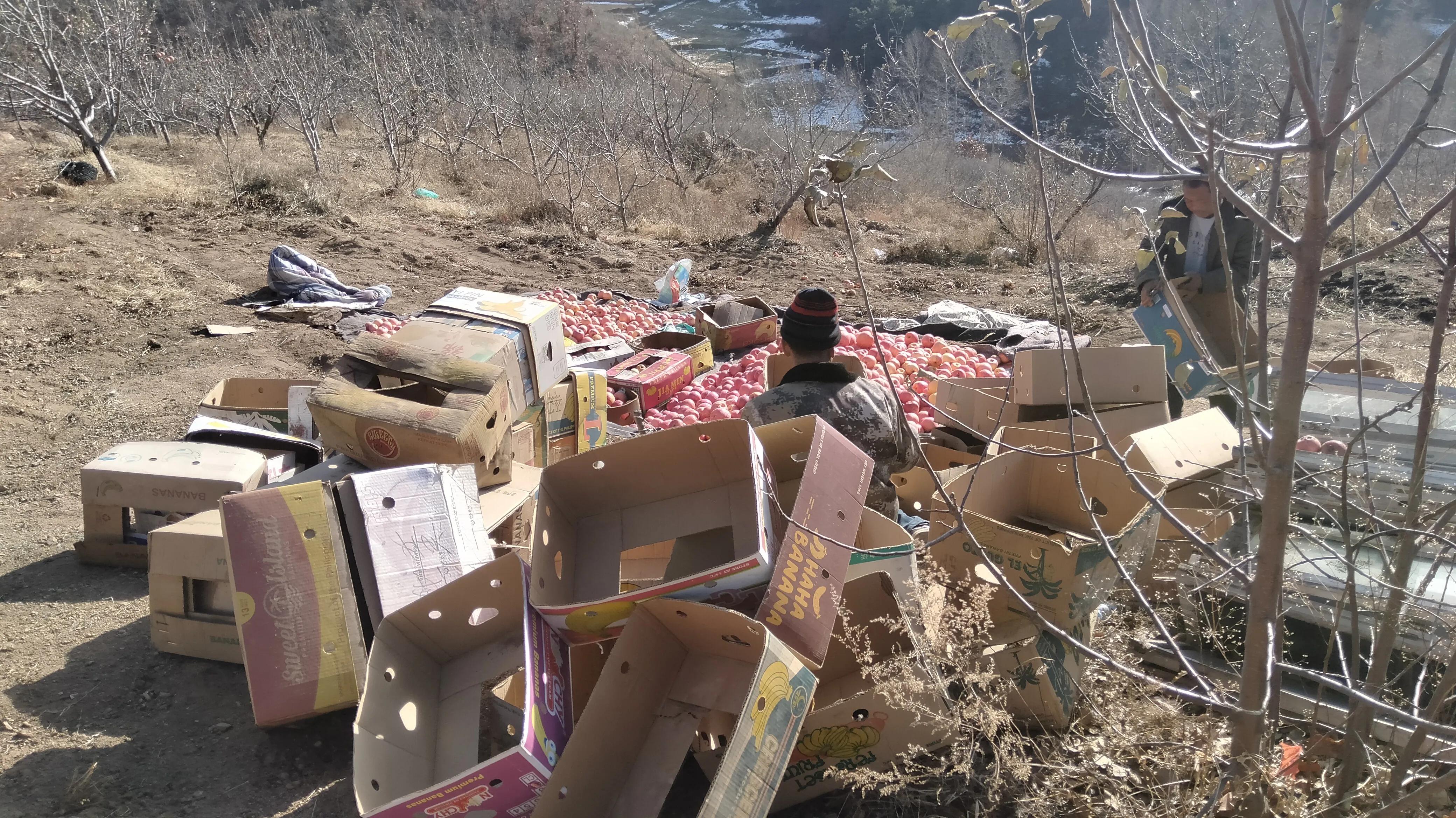 苹果收购单价,苹果收购的价格