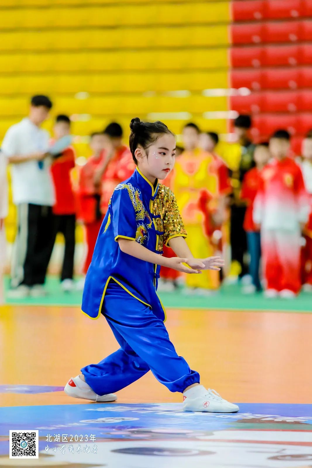 南燕小学,郴州市南燕小学成绩排名