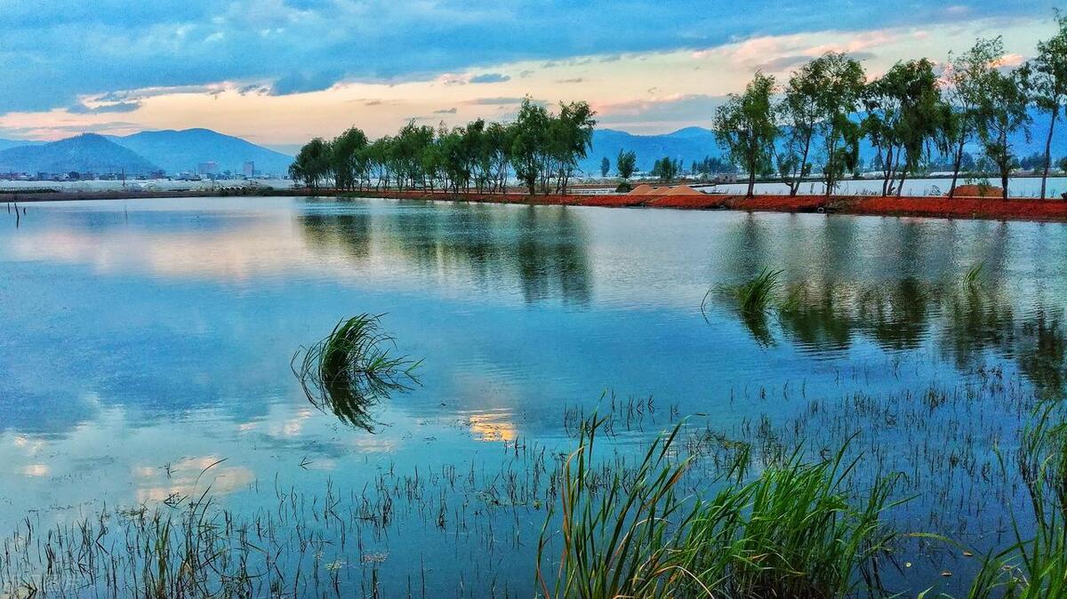 云南十大著名山歌,云南十大著名画家