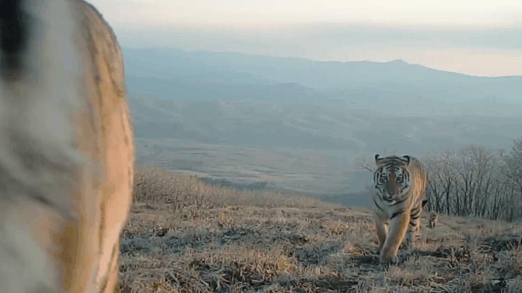 中国人冒死拍的纪录片,一群中国人冒死拍摄