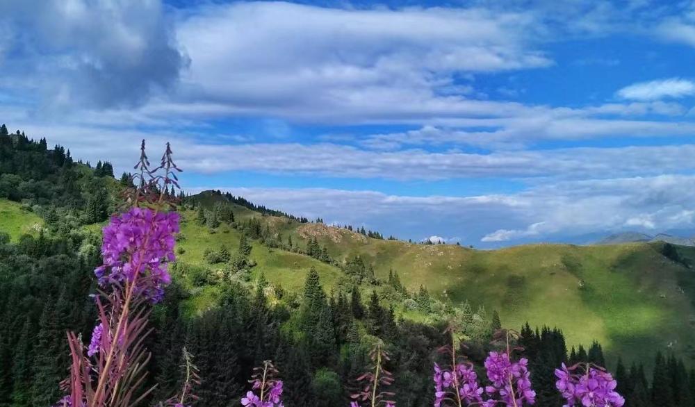 “最后的净土”夏尔西里：1998年才被我国收回，为何流落在外百年