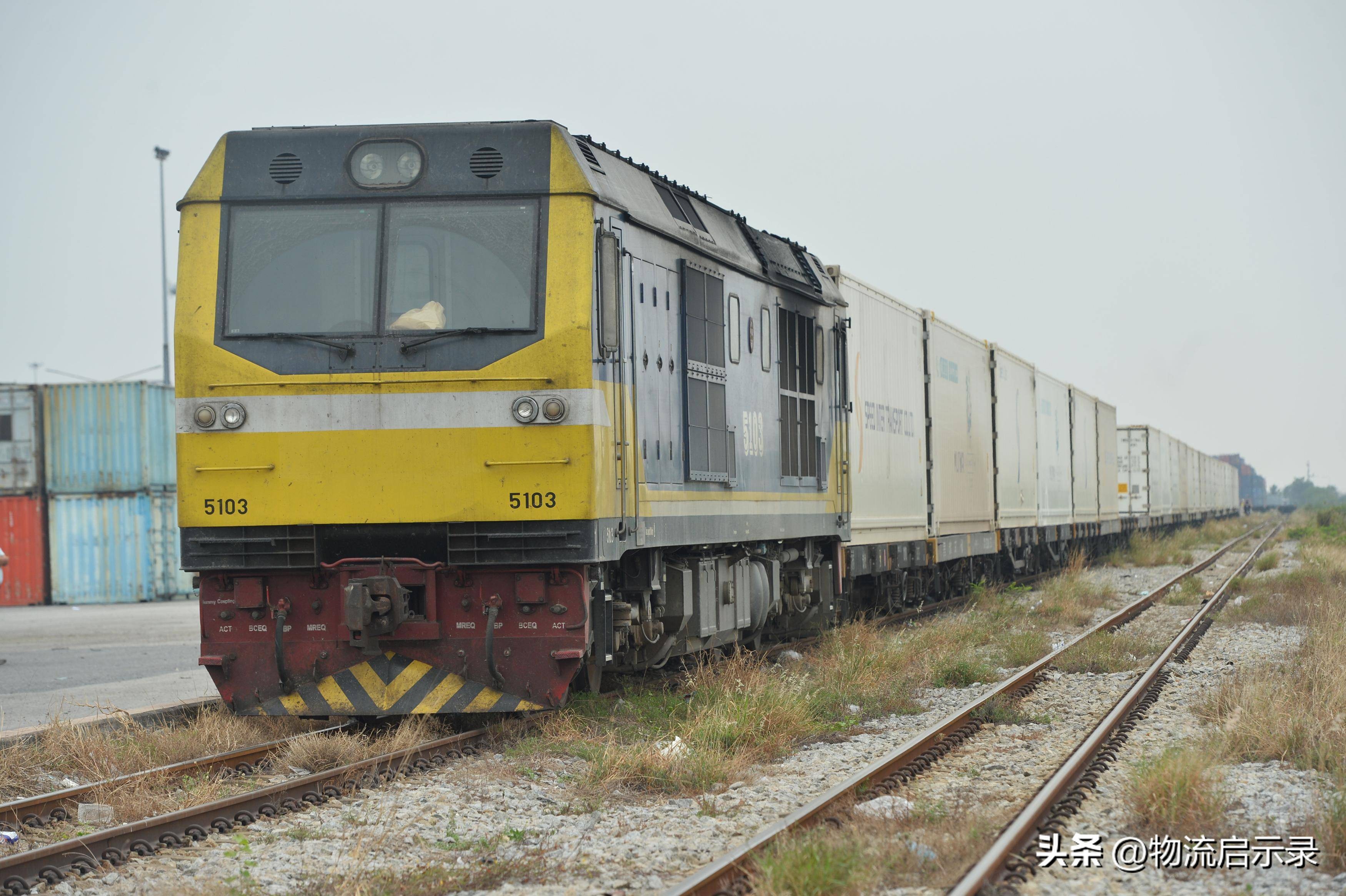 首批泰国榴莲铁路运输,中老铁路泰国榴莲