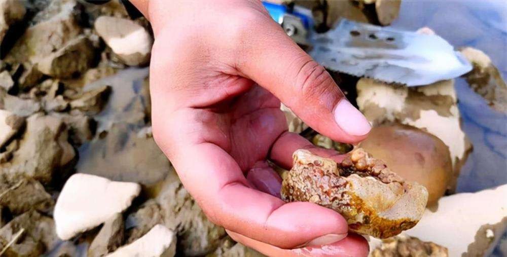 97小伙花150元买奇石,小伙花3万买的石头竟是价值千万