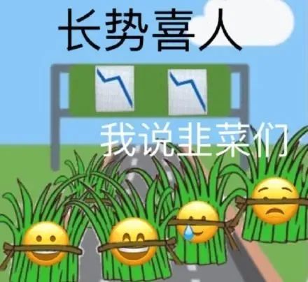 cpugpudpu分别是什么意思,什么是cpu什么是gpu什么是dpu