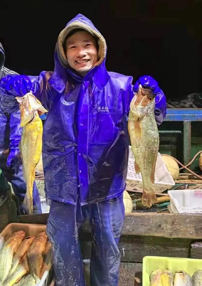 浙江渔民一网捕4000斤大黄鱼,浙江象山首捕野生大黄鱼