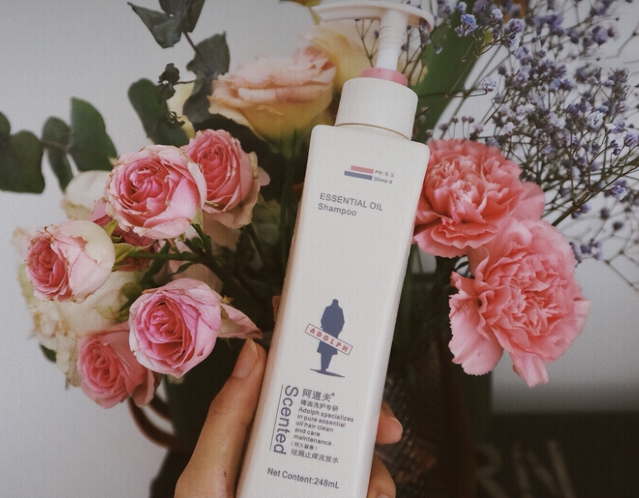 阿道夫跟海飞丝,海飞丝清扬阿道夫沙宣飘柔