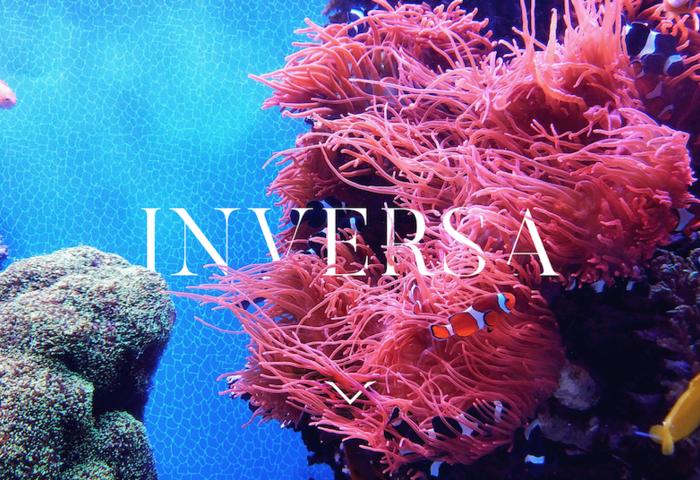 美方以雇佣*疆新**员工为由扣押货物/优衣库开启慈善T恤项目