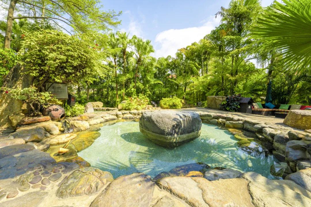 厦门四天游玩攻略大全,最新厦门游玩攻略