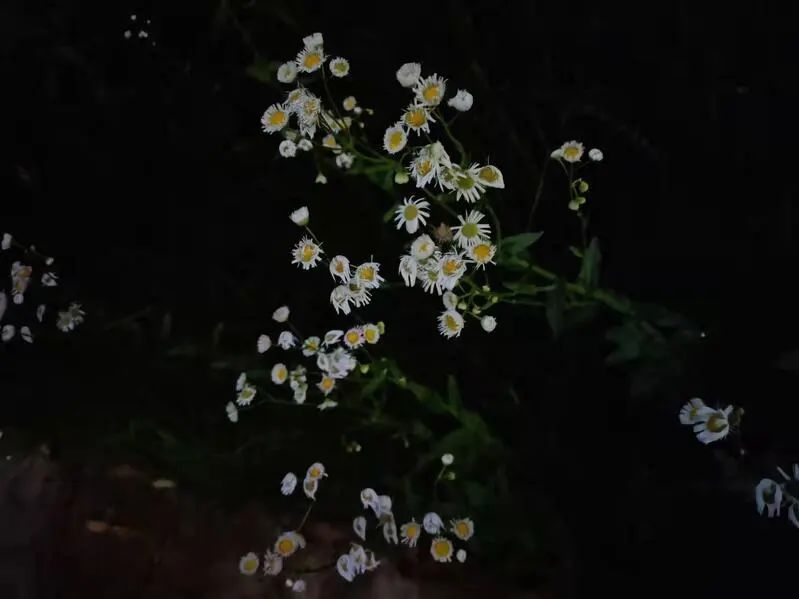 记者采访复旦大学学生,记者采访复旦