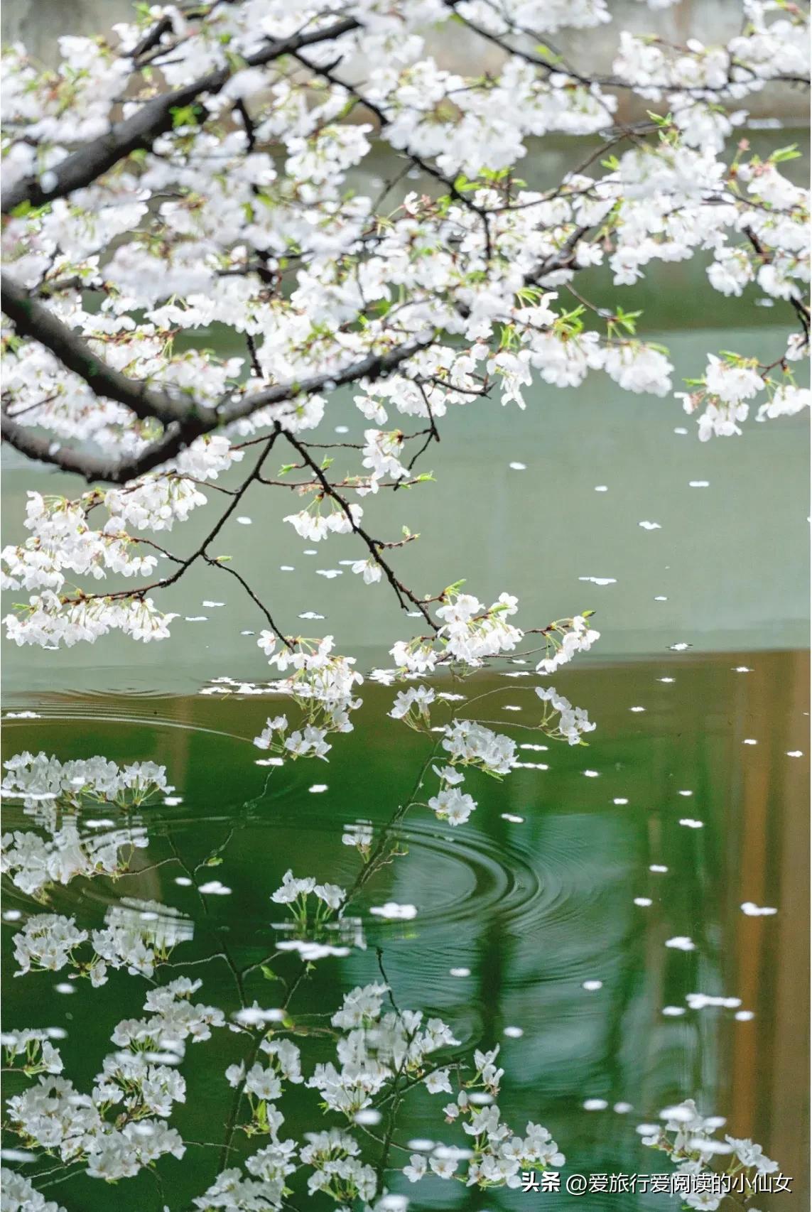 杭州西湖风景名胜区8月攻略,杭州西湖美景旅游攻略三天