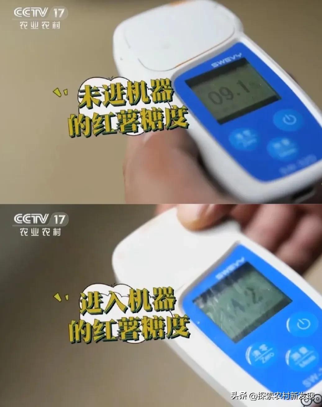 农业种植技术知识大全红薯,红薯种植致富机器