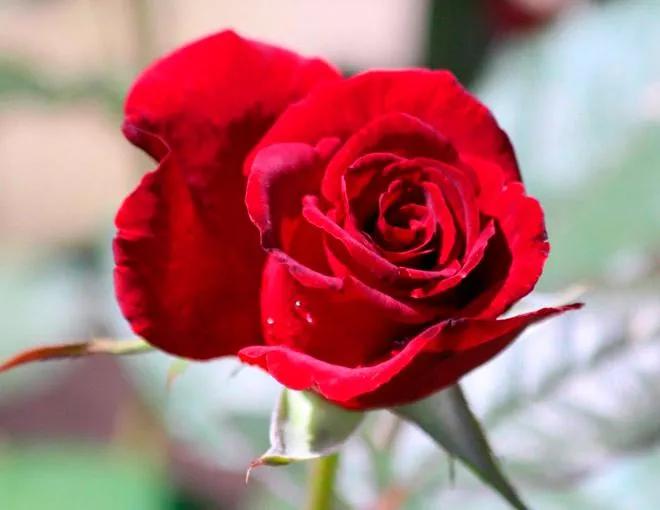 人生当中遇到最无奈的父母,当父母混得不好就不要听父母的话