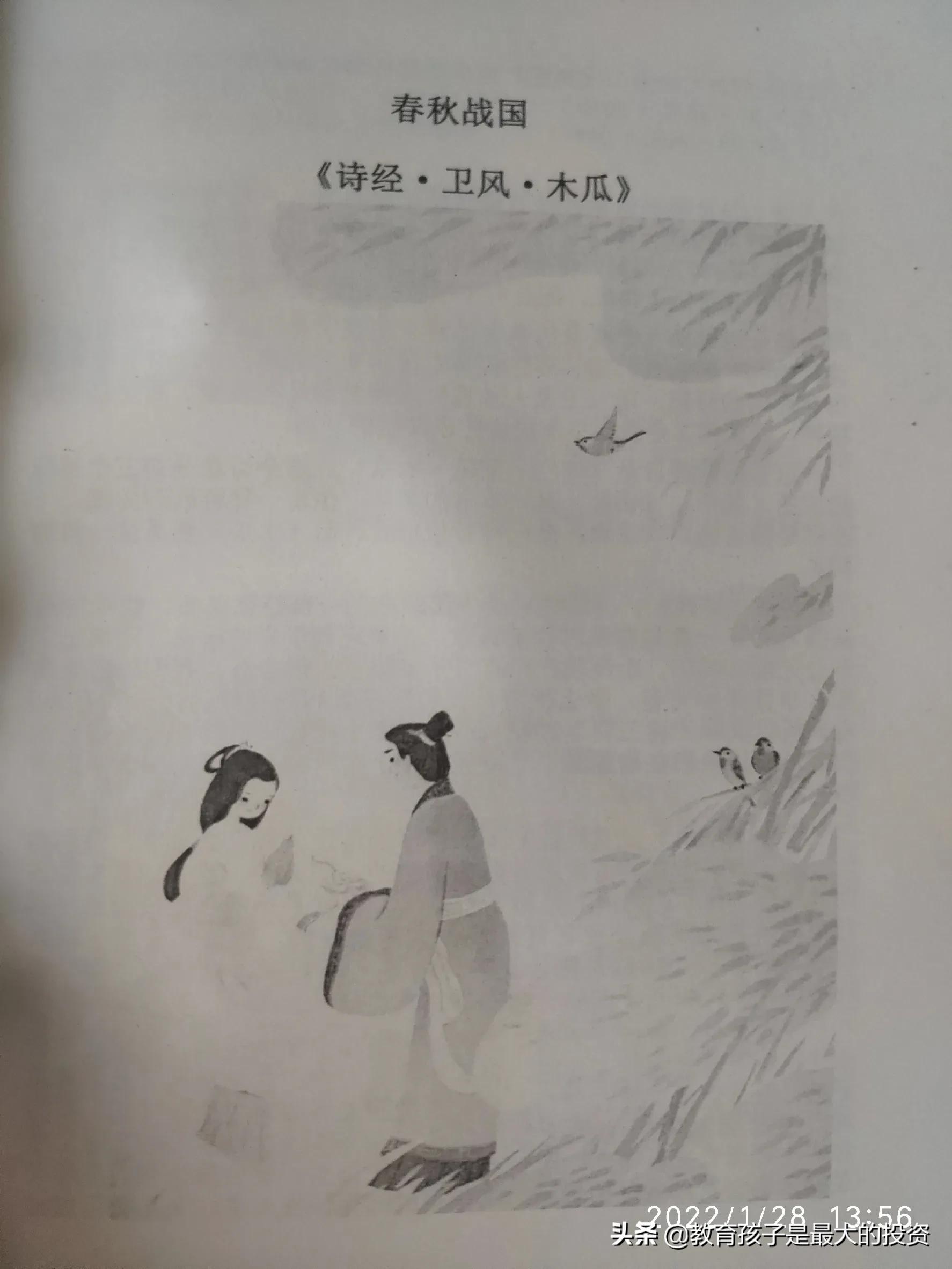 蒙曼讲诗经木瓜,木瓜诗经蒙曼