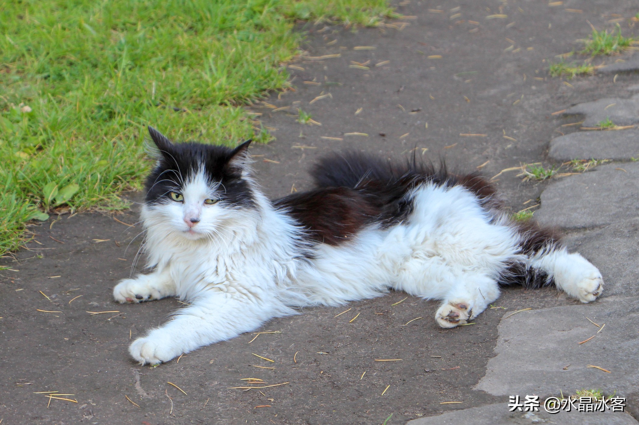 英国行,英国行前攻略