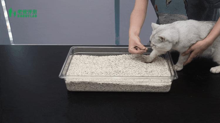 纯福猫砂甲醛超标,猫砂甲醛排名前十